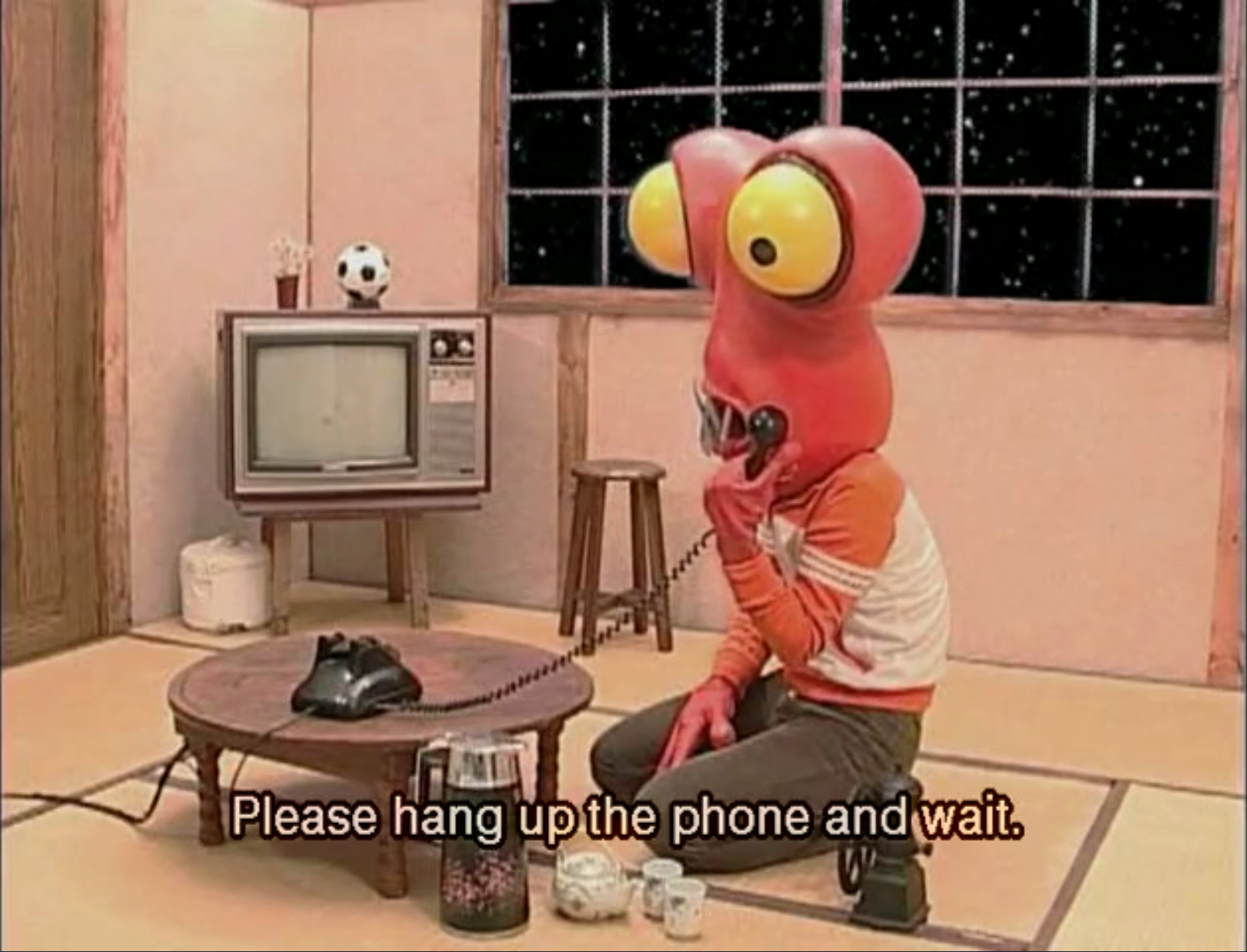 Thank you for contacting support!