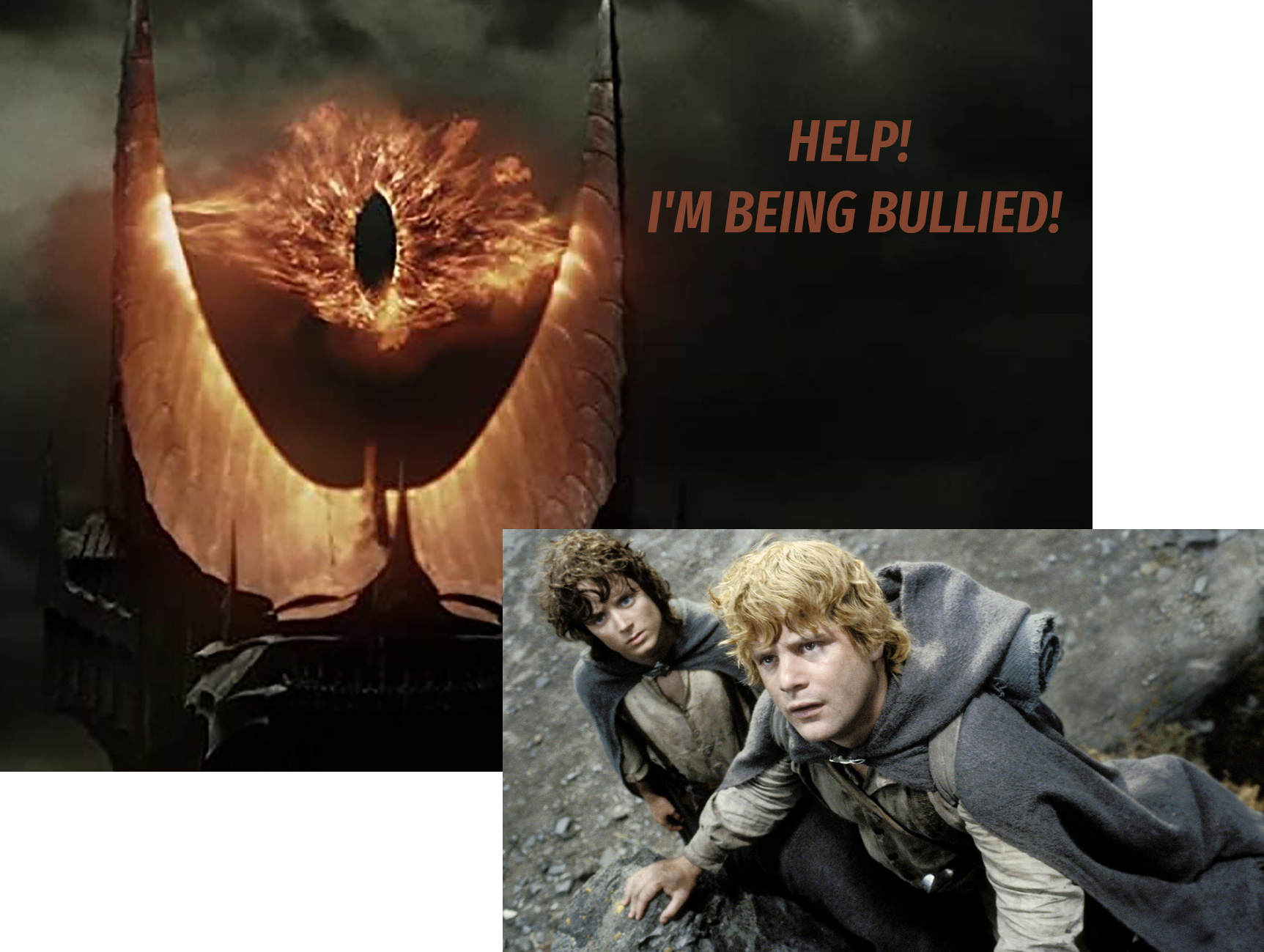 Save me from the mean hobbits!
